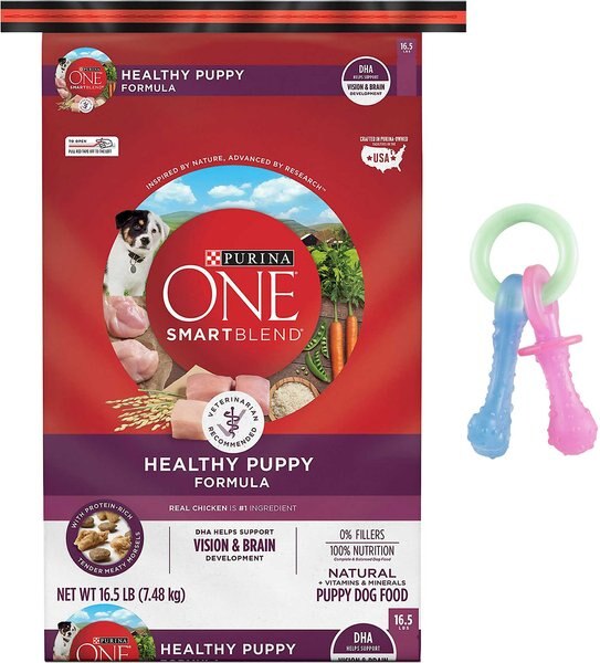 Purina ONE SmartBlend Healthy Puppy Formula Dry Dog Food + Nylabone Teething Pacifier Chew Toy slide 1 of 7