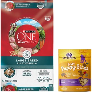 chewy purina one large breed puppy