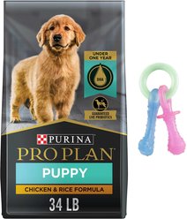 Purina Pro Plan Puppy Chicken & Rice Formula Dry Dog Food + Nylabone Teething Pacifier Chew Toy