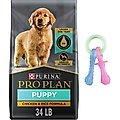 Purina Pro Plan Puppy Chicken & Rice Formula Dry Dog Food + Nylabone Teething Pacifier Chew Toy