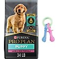 Purina Pro Plan Puppy Lamb & Rice Formula Dry Dog Food + Nylabone Teething Pacifier Chew Toy