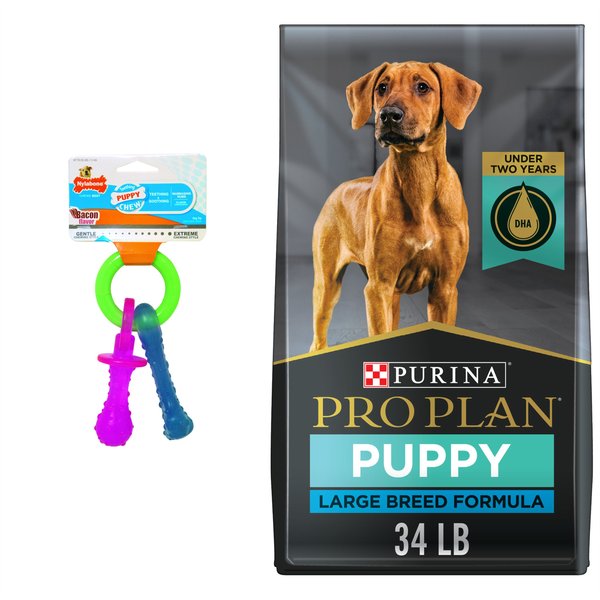 Purina Pro Plan Puppy Large Breed Chicken & Rice Formula with Probiotics Dry Dog Food + Nylabone Teething Pacifier Chew Toy slide 1 of 9