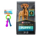 Purina Pro Plan Puppy Large Breed Chicken & Rice Formula with Probiotics Dry Dog Food + Nylabone Teething Pacifier Chew Toy