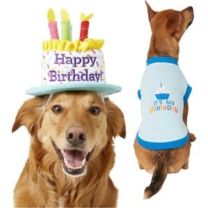 Frisco Birthday Cake Hat, Medium/Large + Dog & Cat T-Shirt, Blue, Medium