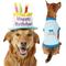 Show in main carousel: Frisco Birthday Cake Hat, Medium/Large + Dog & Cat T-Shirt, Blue, X-Large slide 1 of 10