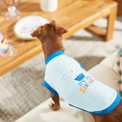 Show full view: Frisco Birthday Cake Hat, Medium/Large + Dog & Cat T-Shirt, Blue, X-Large slide 8 of 10