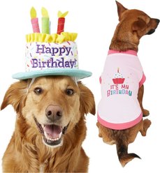 Frisco Birthday Cake Hat, Medium/Large + Dog & Cat T-Shirt, Pink, X-Large
