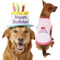 Frisco Birthday Cake Hat, Medium/Large + Dog & Cat T-Shirt, Pink, XX-Large