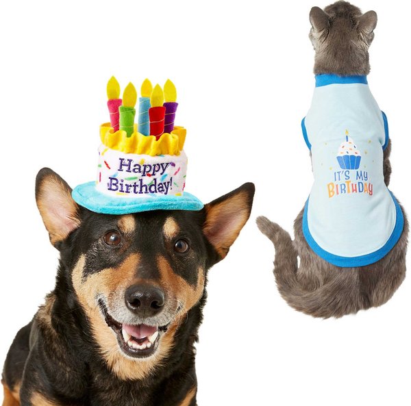 Frisco Birthday Cake Hat, X-Small/Small + Dog & Cat T-Shirt, Blue, Small slide 1 of 9