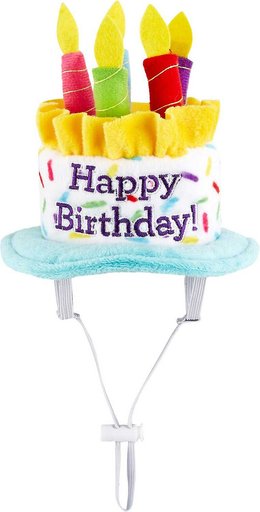Frisco Birthday Cake Hat, X-Small/Small + Dog & Cat T-Shirt, Blue, Small