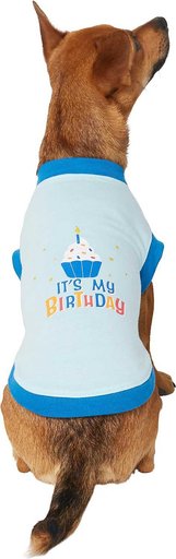 Frisco Birthday Cake Hat, X-Small/Small + Dog & Cat T-Shirt, Blue, Small