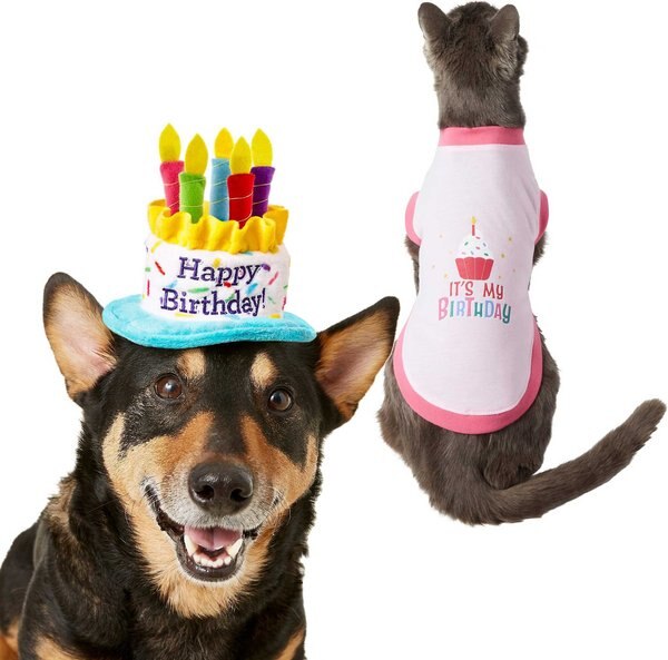 Frisco Birthday Cake Hat, X-Small/Small + Dog & Cat T-Shirt, Pink, Small slide 1 of 9