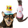 Frisco Birthday Cake Hat, X-Small/Small + Dog & Cat T-Shirt, Pink, X-Small
