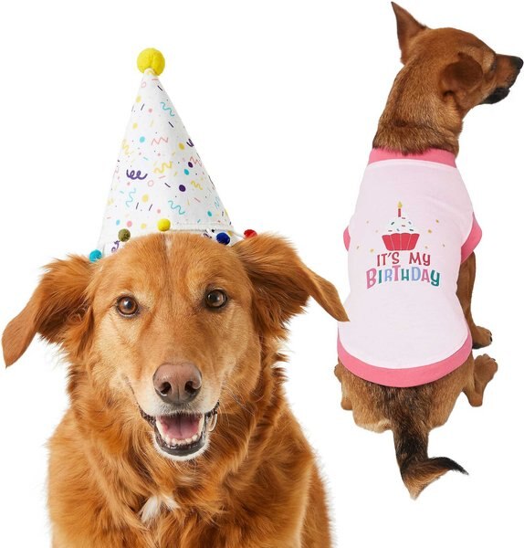 Frisco Confetti Birthday Hat, Medium/Large + Dog & Cat T-Shirt, Pink, Large slide 1 of 9