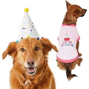 Frisco Confetti Birthday Hat, Medium/Large + Dog & Cat T-Shirt, Pink, X-Large