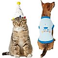 Frisco Confetti Birthday Hat, Small/Medium + Dog & Cat T-Shirt, Blue, Small