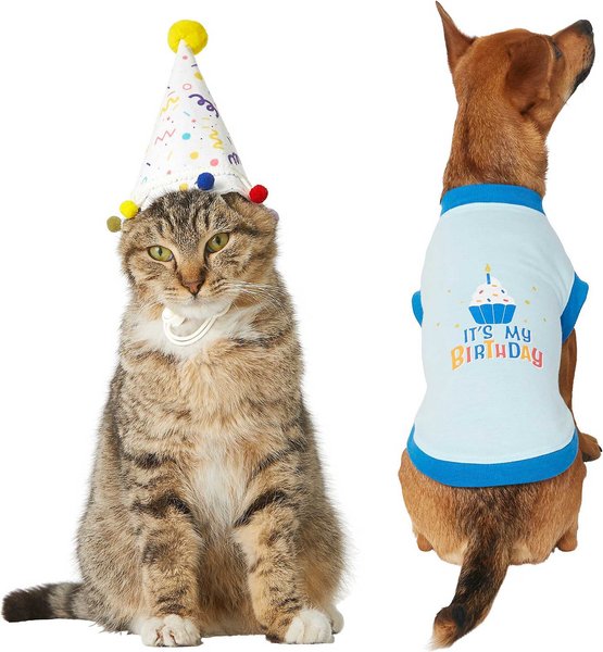 Frisco Confetti Birthday Hat, Small/Medium + Dog & Cat T-Shirt, Blue, X-Small slide 1 of 9