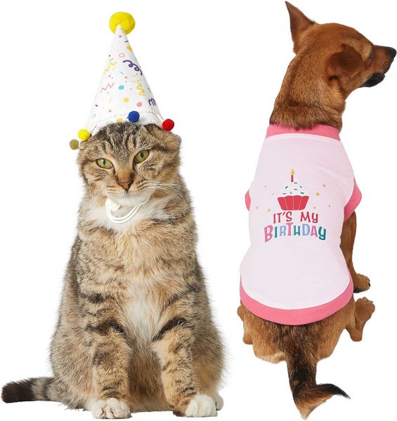 Frisco Confetti Birthday Hat, Small/Medium + Dog & Cat T-Shirt, Pink, Small slide 1 of 9