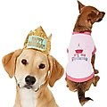 Frisco Happy Birthday Crown, Medium/Large + Dog & Cat T-Shirt, Pink, Large