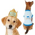 Frisco Happy Birthday Crown, X-Small/Small + Dog & Cat T-Shirt, Blue, Small
