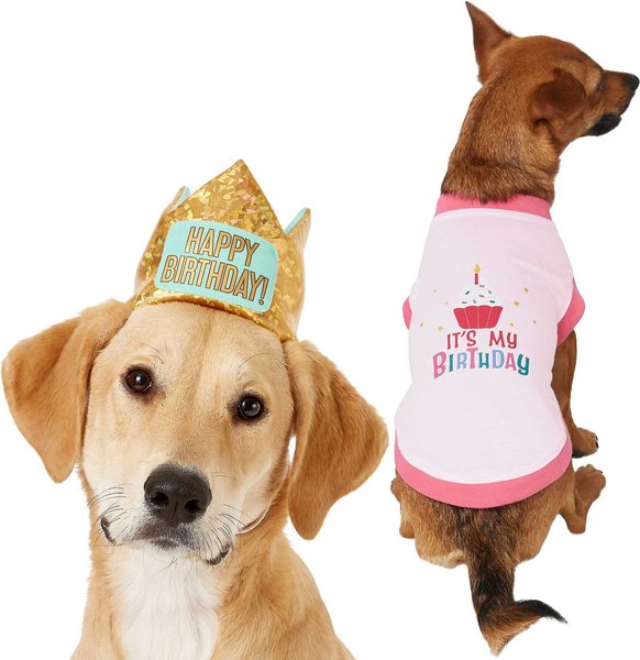 Frisco Happy Birthday Crown, X-Small/Small + Dog & Cat T-Shirt, Pink, Small slide 1 of 9