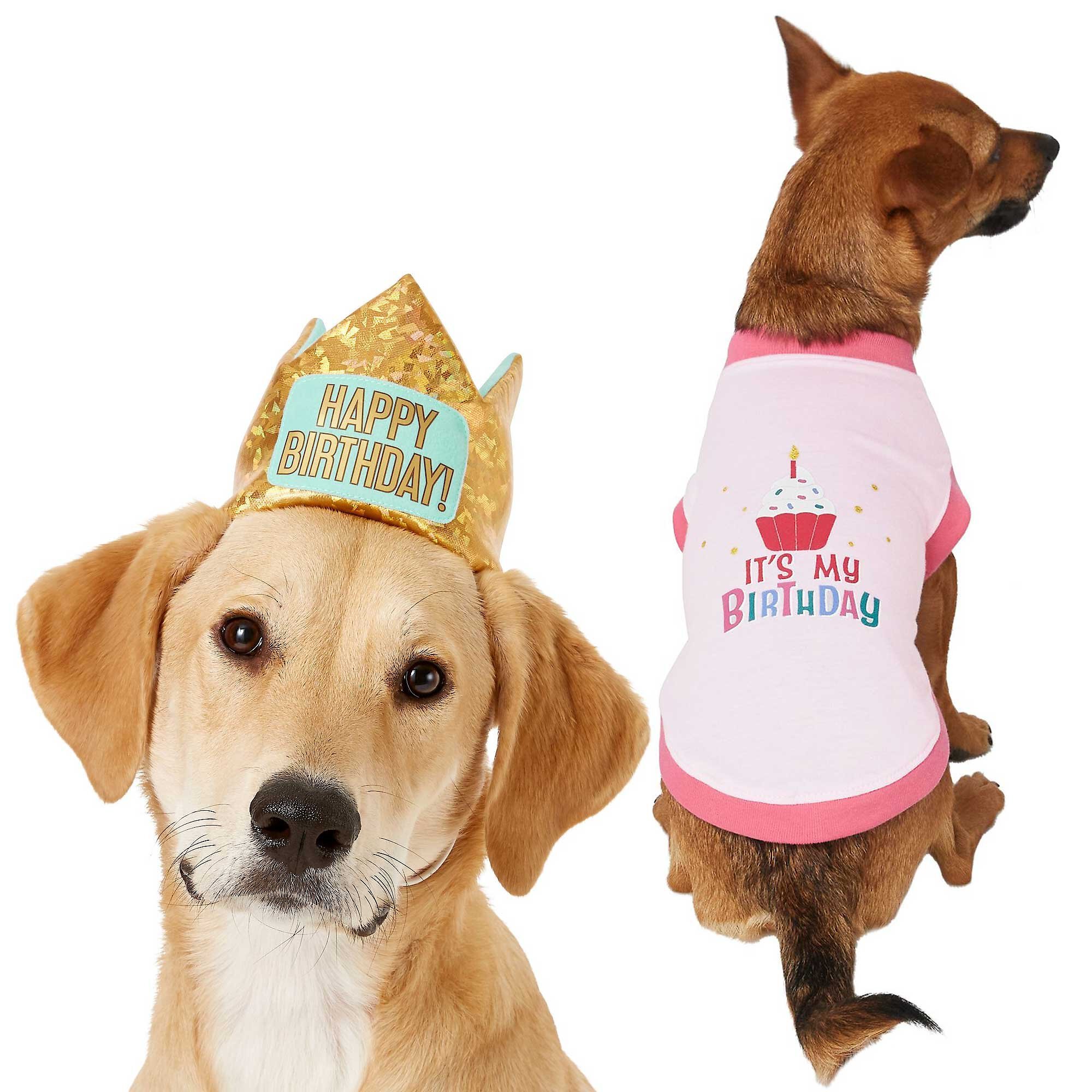 Frisco Happy Birthday Dog & Cat Crown
