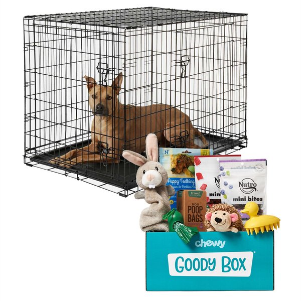 Frisco Fold & Carry Double Door Collapsible Wire Crate, 24 inch + Goody Box Puppy Toys, Treats & Potty Training slide 1 of 8