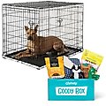 Frisco Fold & Carry Double Door Collapsible Wire Crate, 42 inch + Goody Box Puppy Toys, Treats & Potty Training
