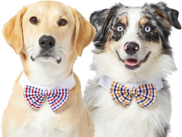 Frisco Plaid Dog & Cat Bow Tie, X-Small/Small, Red & Blue + Orange & Blue slide 1 of 9