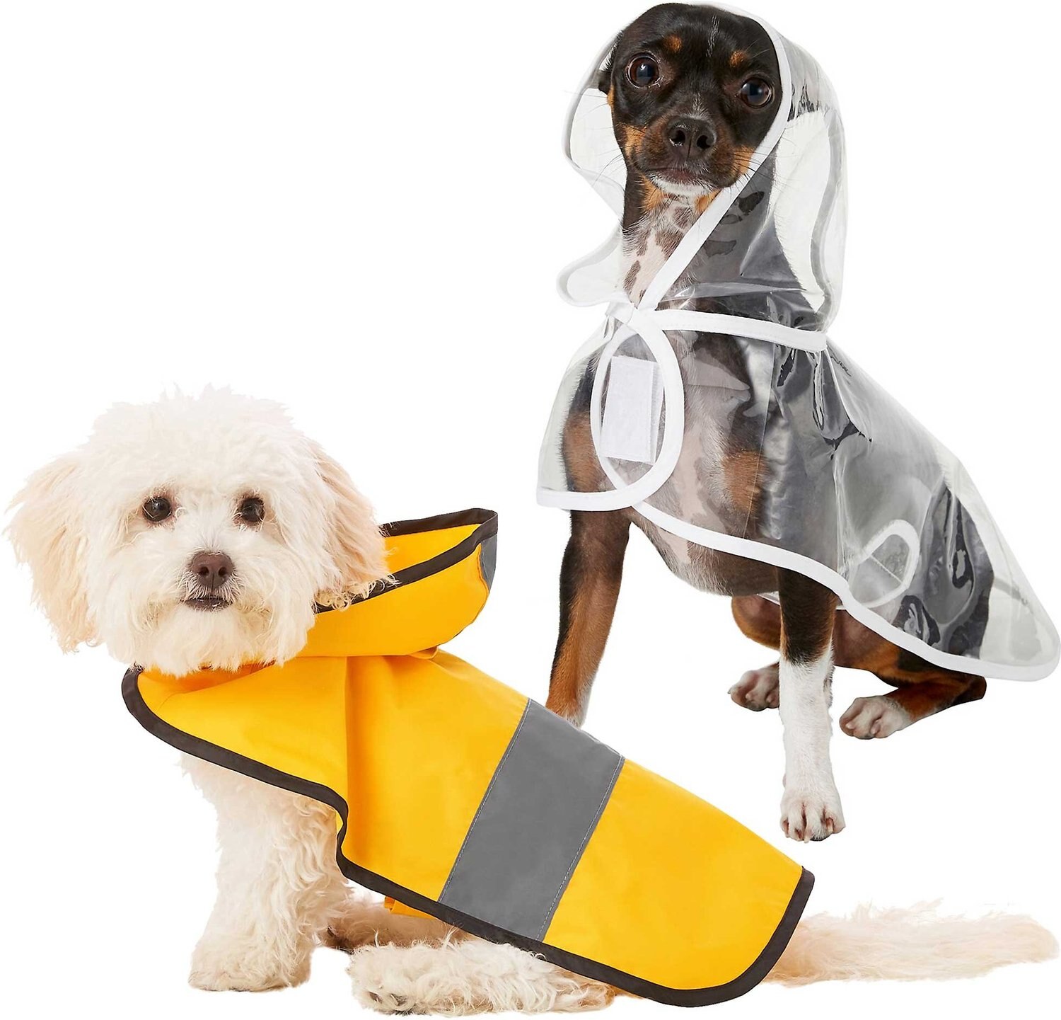 Bundle: Frisco Rainy Days + Clear Vinyl Dog Raincoat