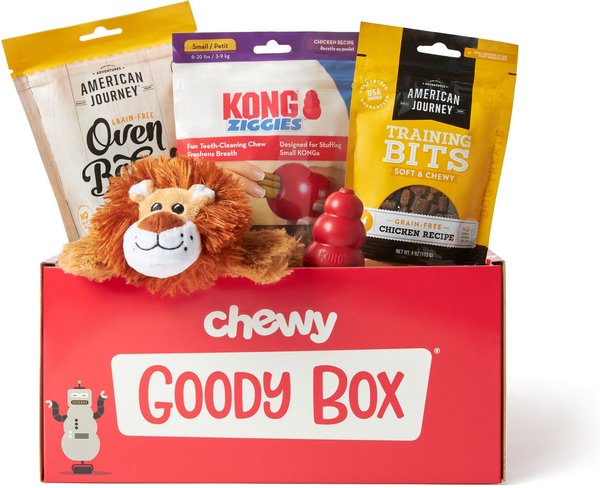 GOODY BOX x KONG Classic Dog Toys & Treats, Small 