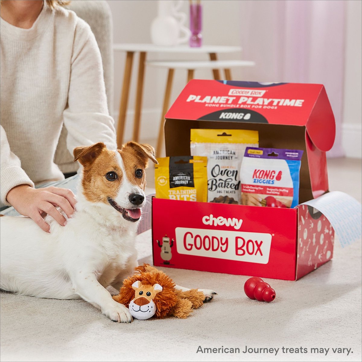 Kong box hotsell for dogs