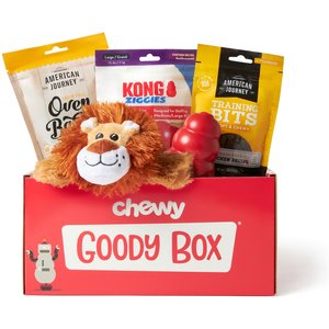 Goody Box x KONG Classic Dog Toys & Treats, Large