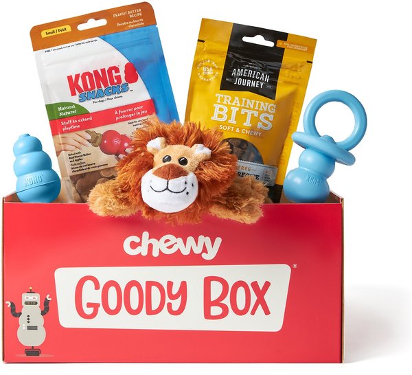 Goody Box x KONG Puppy Toys Treats Small