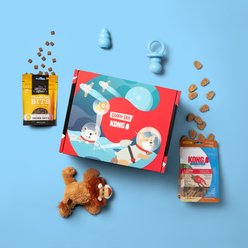 Goody Box x KONG Puppy Toys & Treats, Small slide 2 of 9