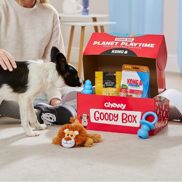 kong puppy box