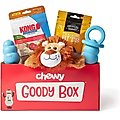 Goody Box x KONG Puppy Toys & Treats, Medium