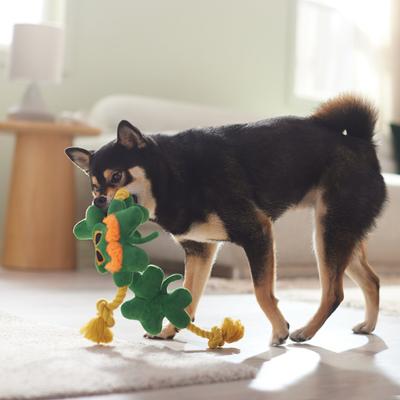 Show full view: Frisco St. Patrick's Shamrock Plush with Rope Squeaky Dog Toy slide 4 of 5