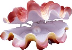 Penn-Plax Giant Clam Aquarium Ornament slide 1 of 2