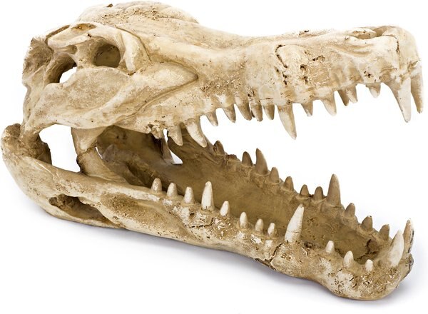 Penn-Plax Gator Skull Aquarium Ornament slide 1 of 2