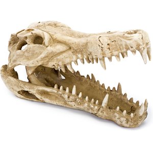 Penn-Plax Gator Skull Aquarium Ornament