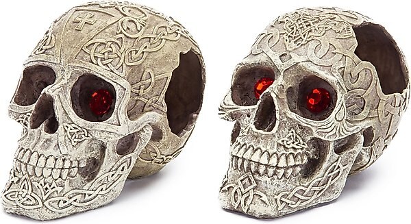 Penn-Plax Skull Gazers Aquarium Ornament, 1 count slide 1 of 1