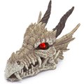 Penn-Plax Dragon Skull Gazer Aquarium Ornament