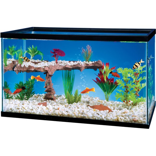 Penn-Plax Aquariums and Tanks for sale