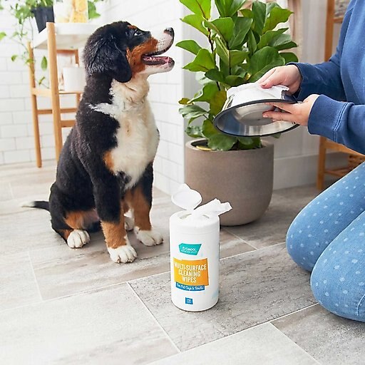 Catit Flower Plastic Fountain, 100-oz + Frisco Pet Toy & Bowl Cleaning Wipes