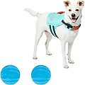 Frisco Active Life Jacket, Medium + Floating Fetch Ball No Squeak Dog Toy, Blue, Medium