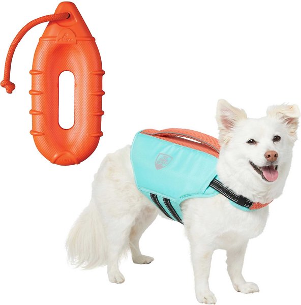 Frisco Active Life Jacket, Small + ROGZ by KONG Flingz Buoy Dog Toy slide 1 of 9