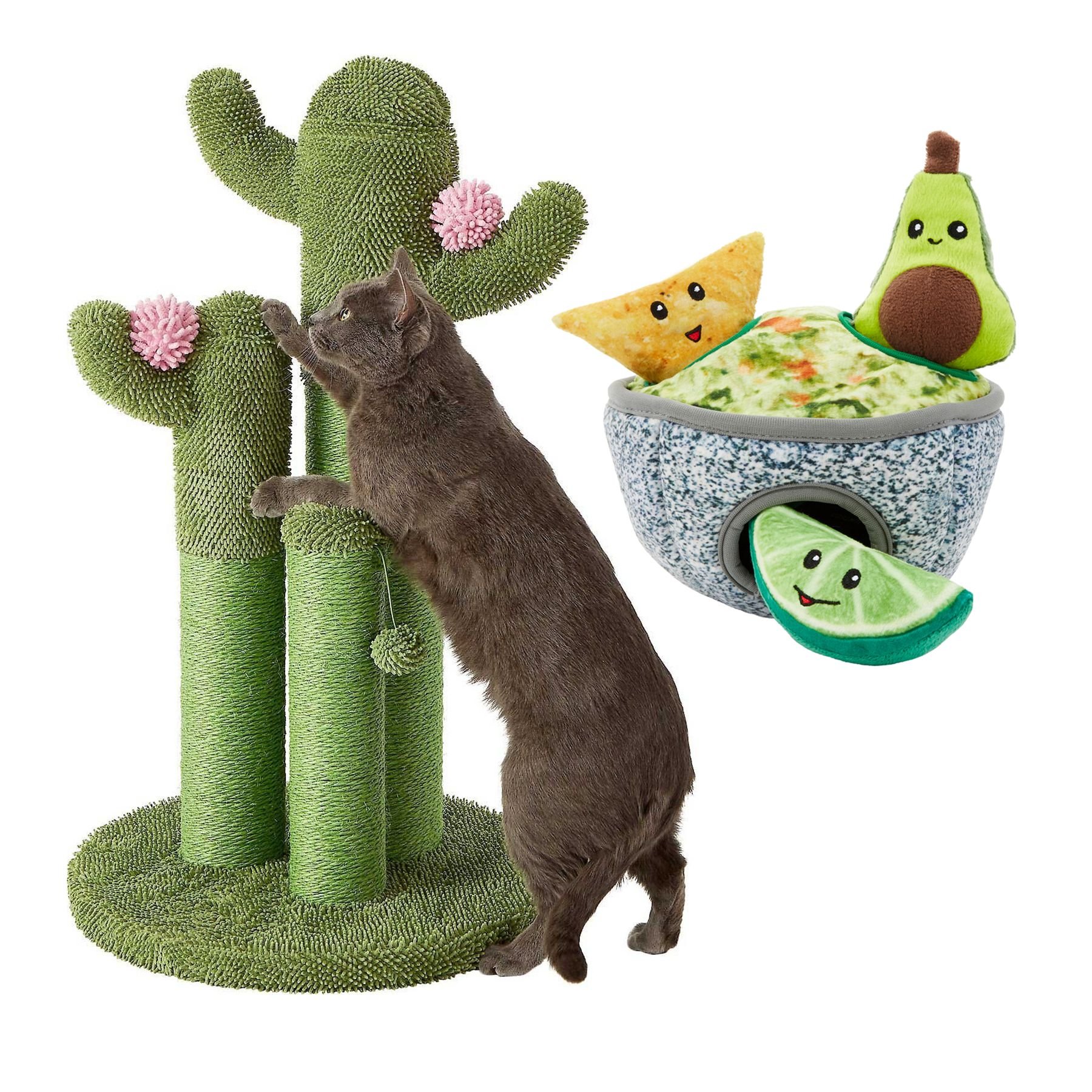 FRISCO Cactus Cat Scratching Post & Frisco Guacamole Hide & Seek Puzzle ...