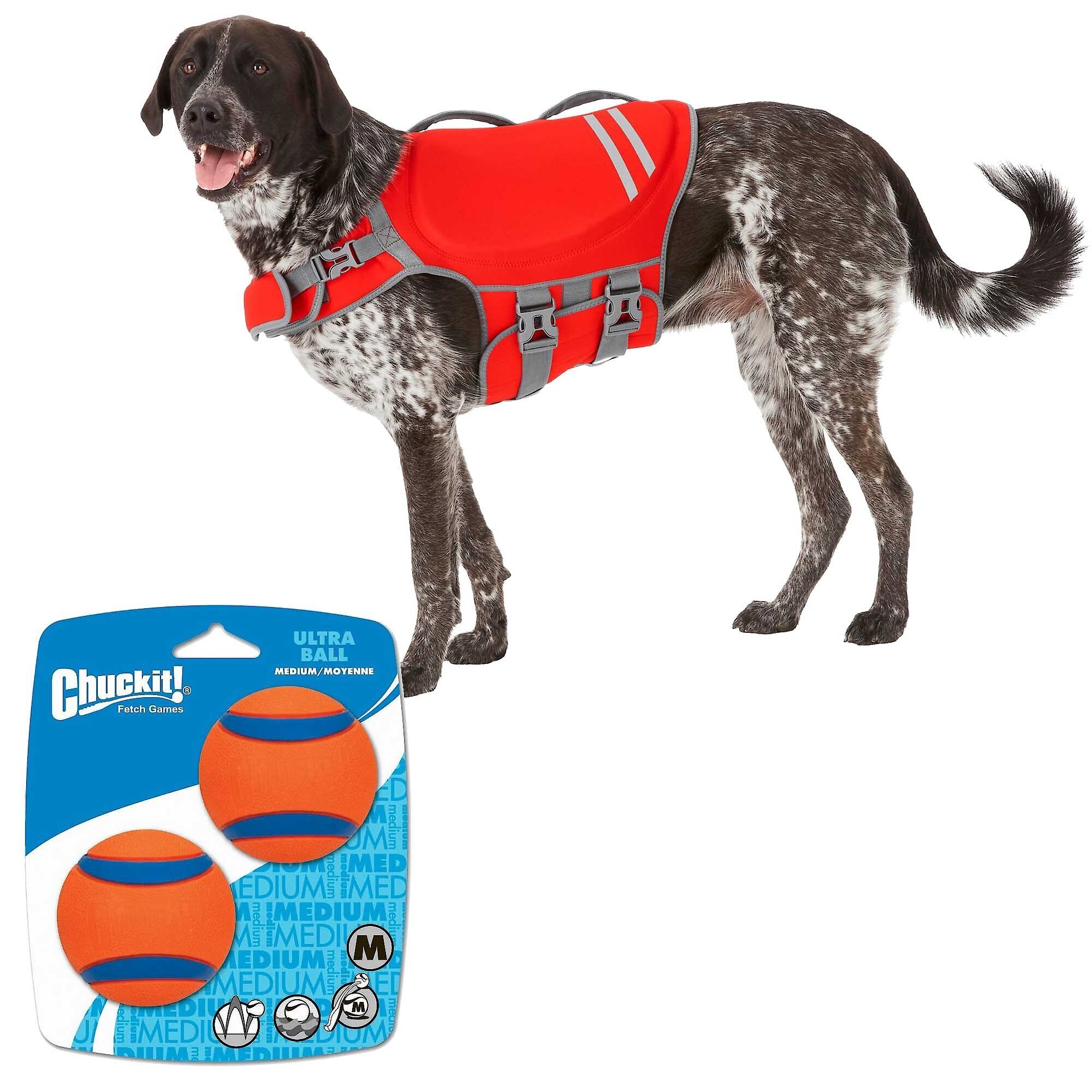 Frisco Neoprene Dog Life Jacket & Chuckit! Ultra Rubber Ball Tough Dog