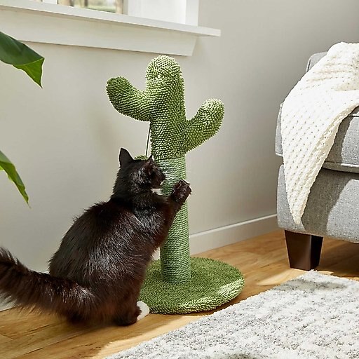 Frisco Novelty Unicorn Covered Bed + Cactus Cat Scratching Post, 22-in
